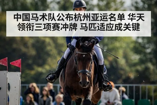 中国马术队公布杭州亚运名单 华天领衔三项赛冲牌 马匹适应成关键